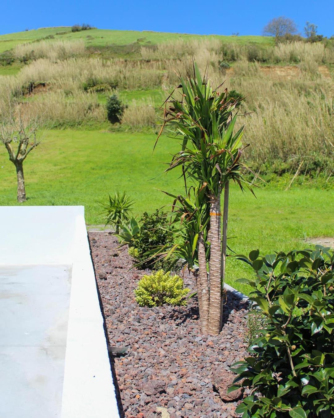 Dreamscape Villa Ponta Delgada Dış mekan fotoğraf