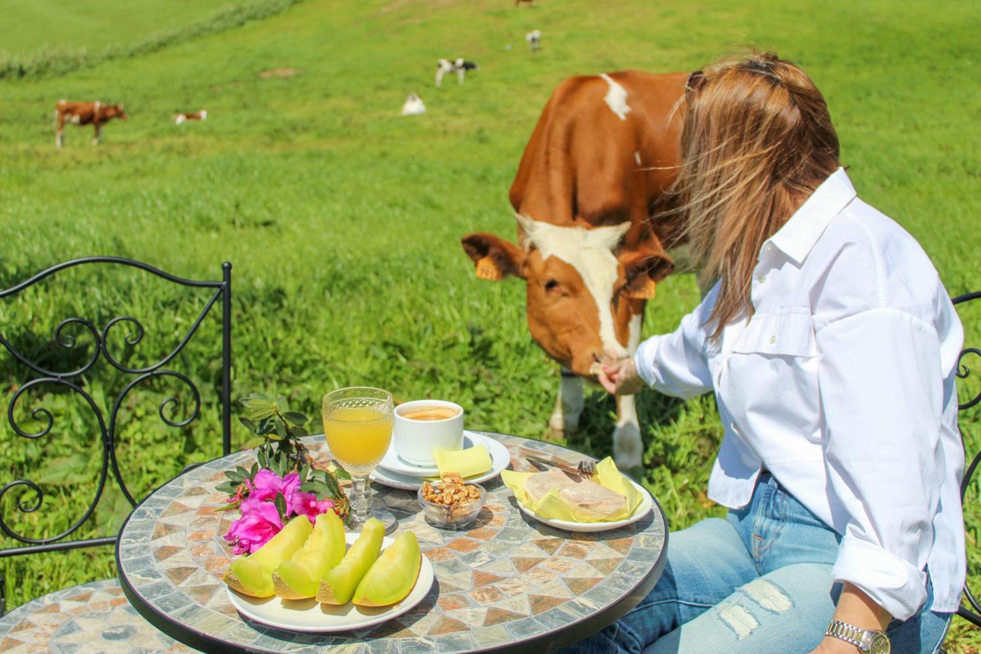 Dreamscape Villa Ponta Delgada Dış mekan fotoğraf